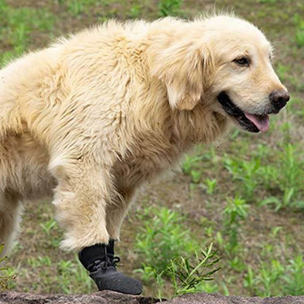 Junips | Outdoor waterproof breathable hiking running non-slip dog shoes
