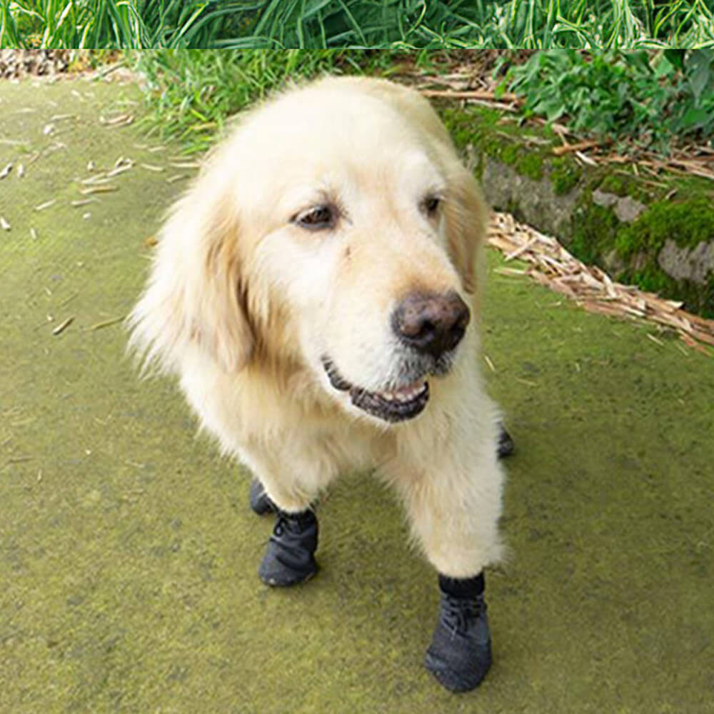 Junips | Outdoor waterproof breathable hiking running non-slip dog shoes