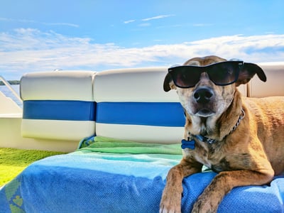 Junips | Cooling mat for pets with non-toxic self-cooling gel
