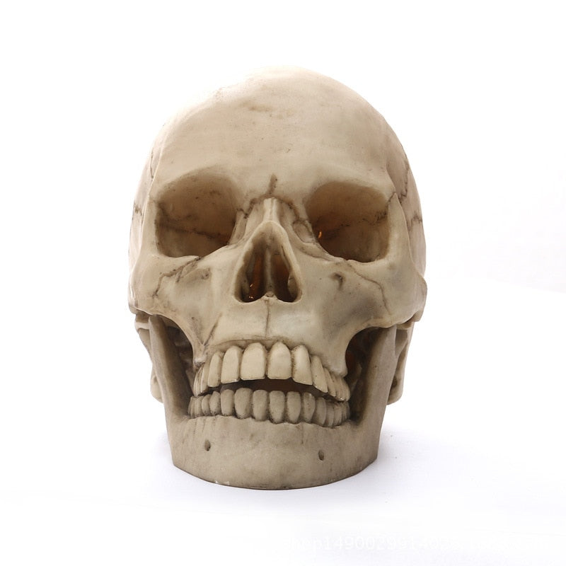 Junips | 1:1 Human Head Skull Statue for Home Decor Resin Figures Halloween Decoration Sculpture Medical Teaching Sketch Model Craft