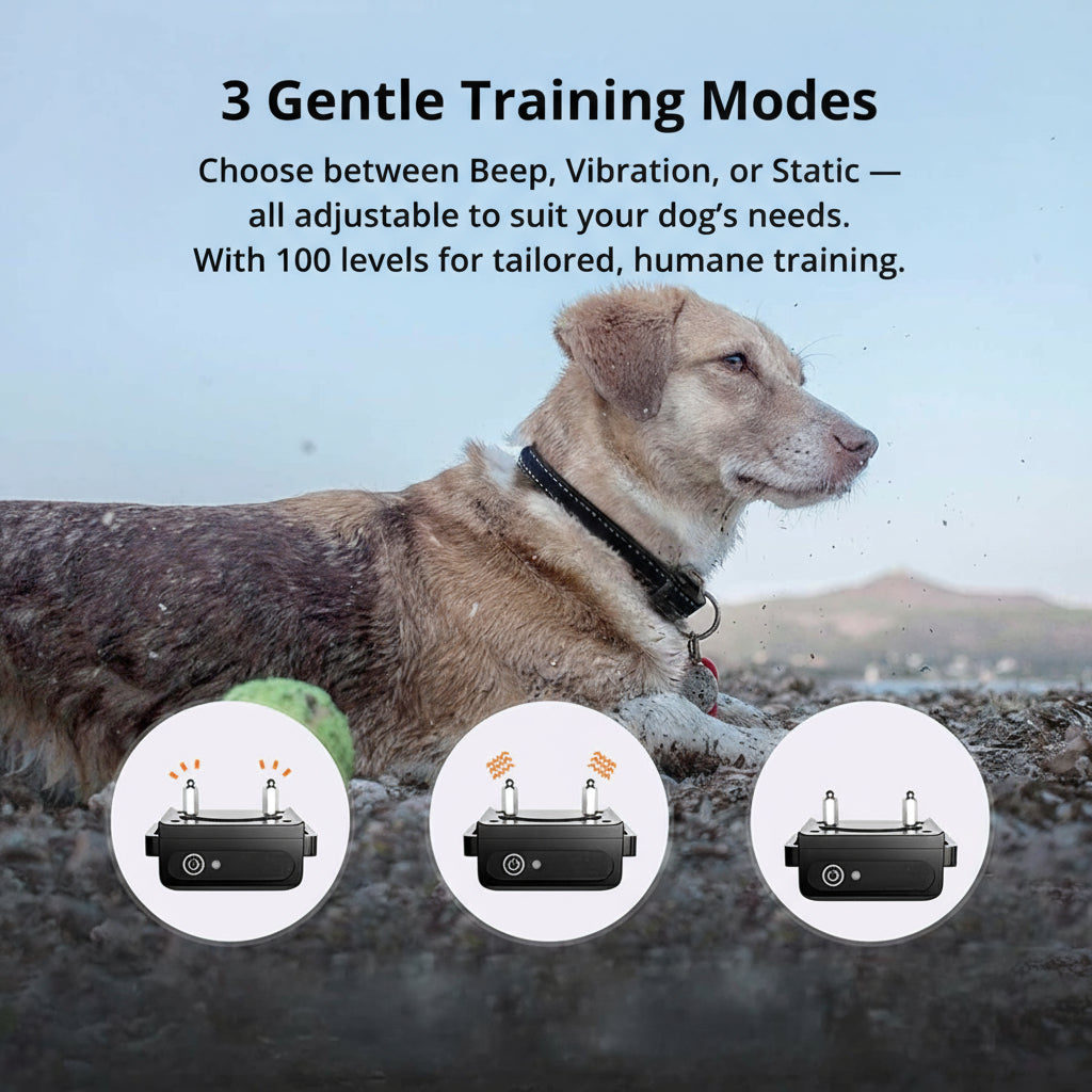 Junips | 1000m Waterproof Dog Training Collar | IP67 Submersible Receiver | 100-Level Vibration & Static Pulse Modulation | 60-Day Lithium-Polymer Battery | High-Tensile Reflective Nylon