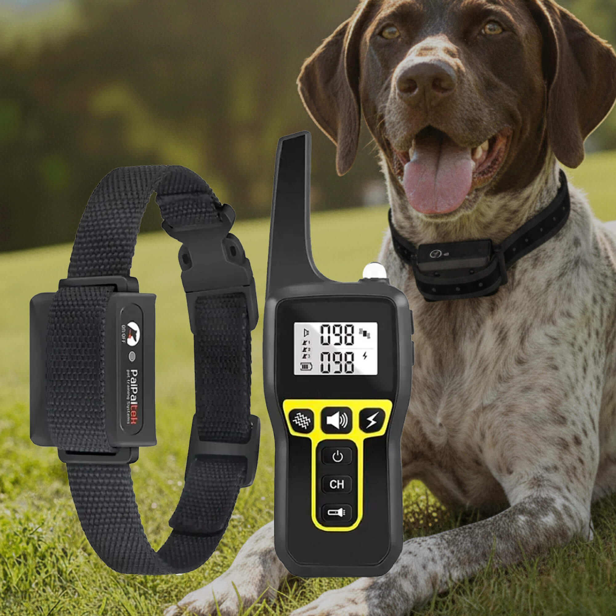 Junips | 1000m Waterproof Dog Training Collar | IP67 Submersible Receiver | 100-Level Vibration & Static Pulse Modulation | 60-Day Lithium-Polymer Battery | High-Tensile Reflective Nylon