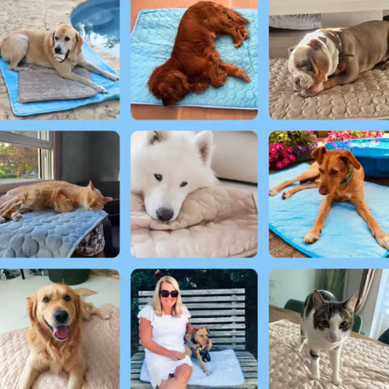 Junips | Cooling Mat for Dogs (4x More Effective)