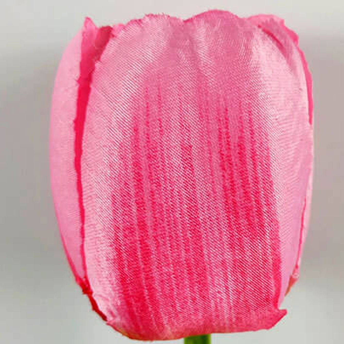 Junips | Solar Tulip Lawn Light Outdoor Garden LED Tulip Flower Light Ground Stake Landscape Light