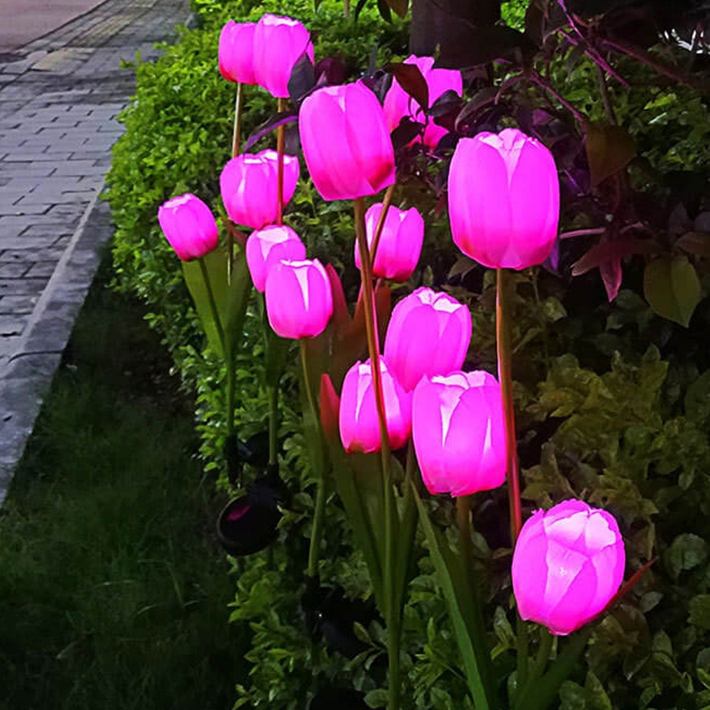 Junips | Solar Tulip Lawn Light Outdoor Garden LED Tulip Flower Light Ground Stake Landscape Light
