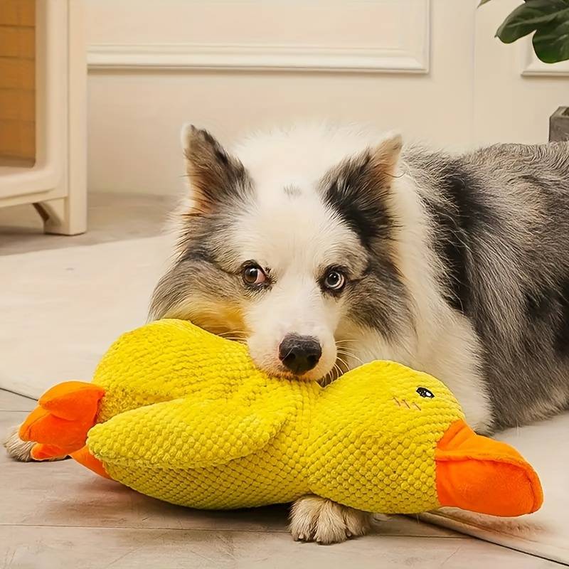 Junips | Calming duck for dogs