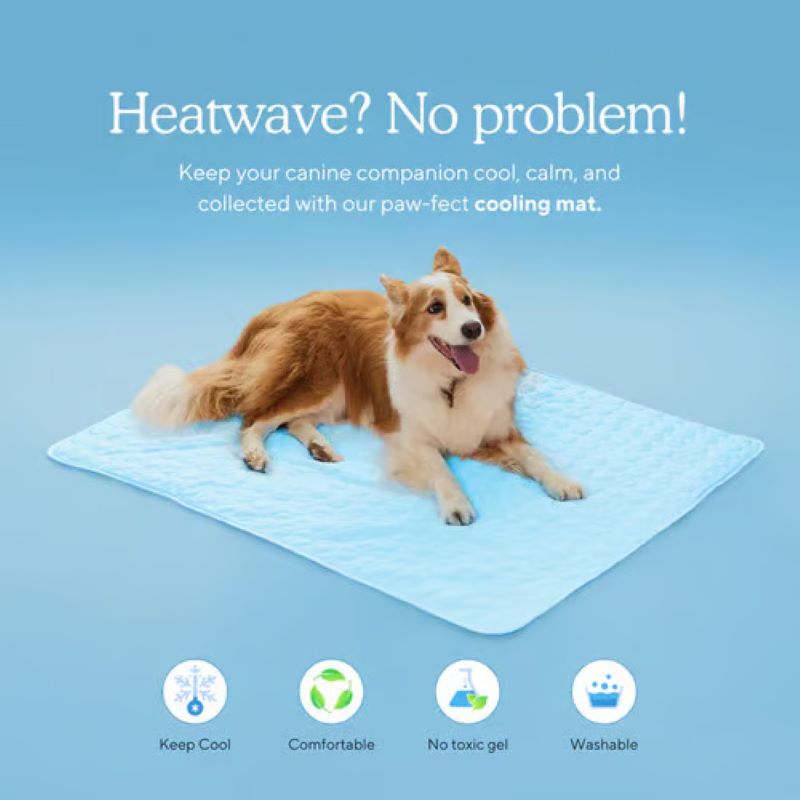 Junips | Cooling Mat for Dogs (4x More Effective)