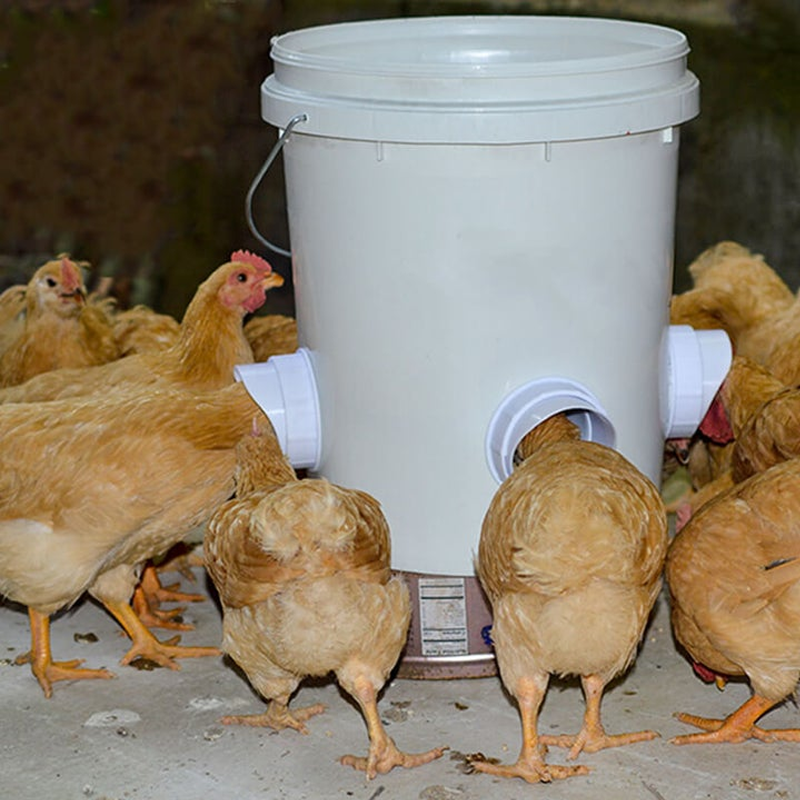 Junips | DIY Chicken Feeder