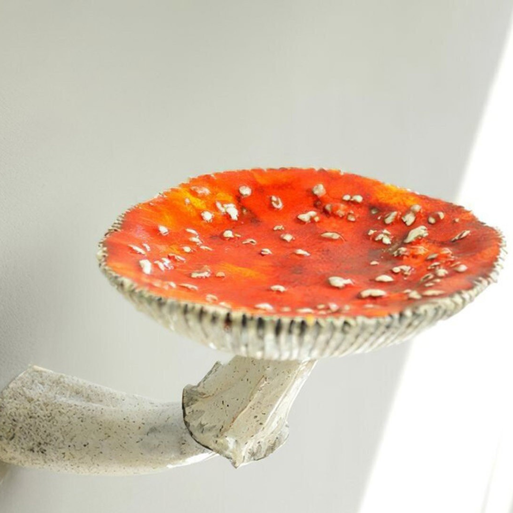 Junips | Floating Mushroom Shelf