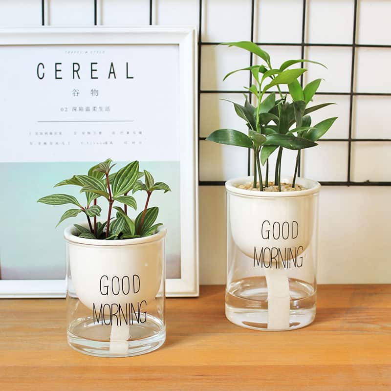 Junips | Self-watering Hydro-Flower Pot