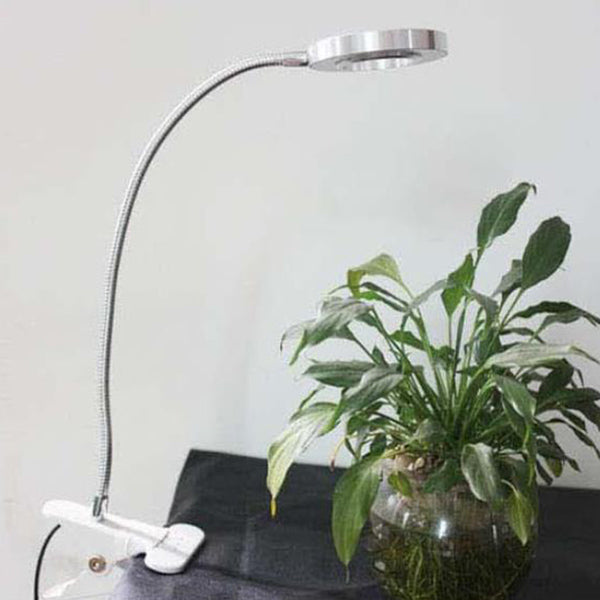 Junips | Creative simple USB pants button LED reading clip desk lamp