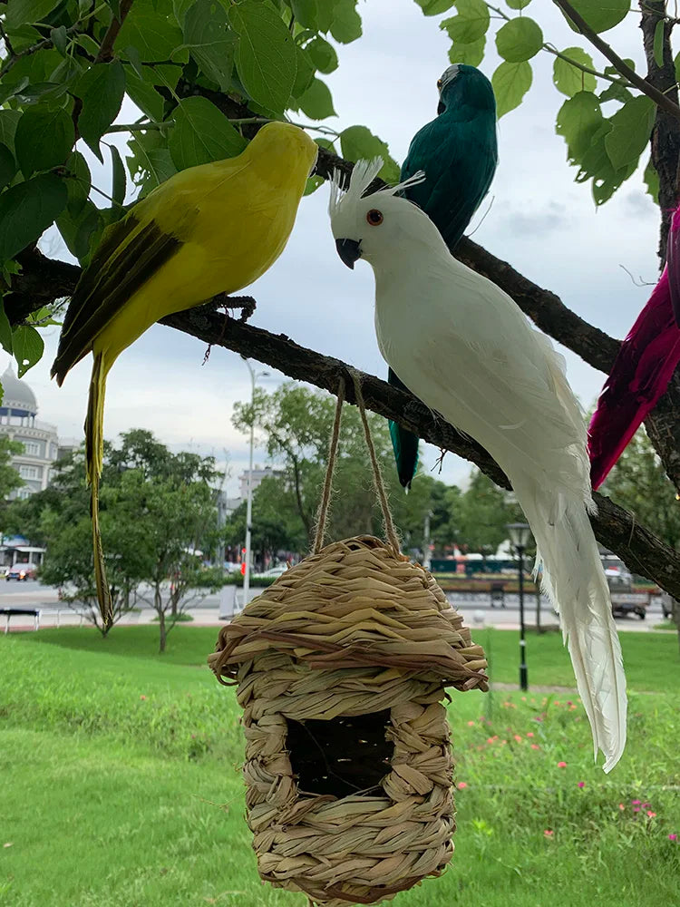 Junips | Parrot Garden Decoration - Tropic