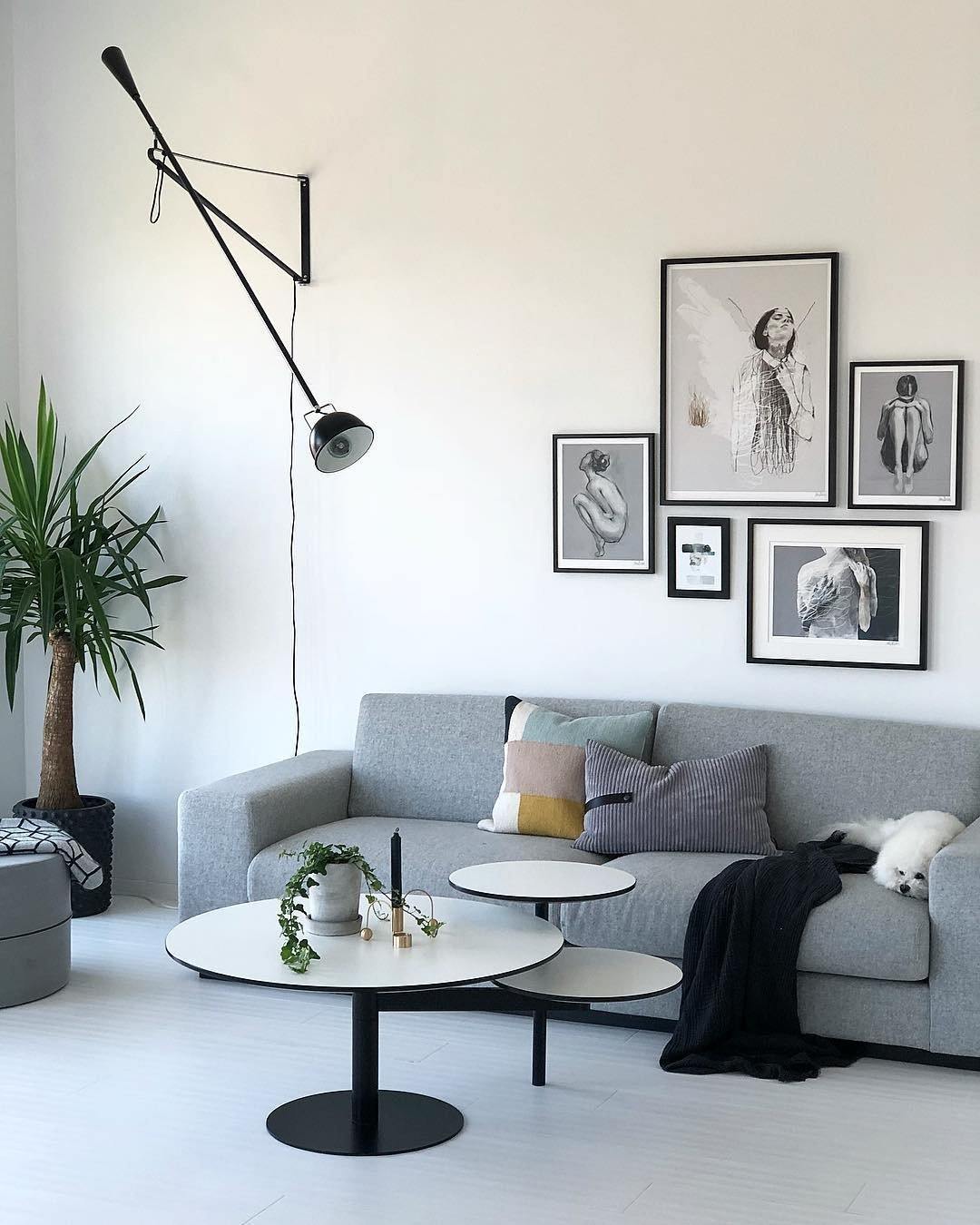 Junips | Model 265 Wall Lamp