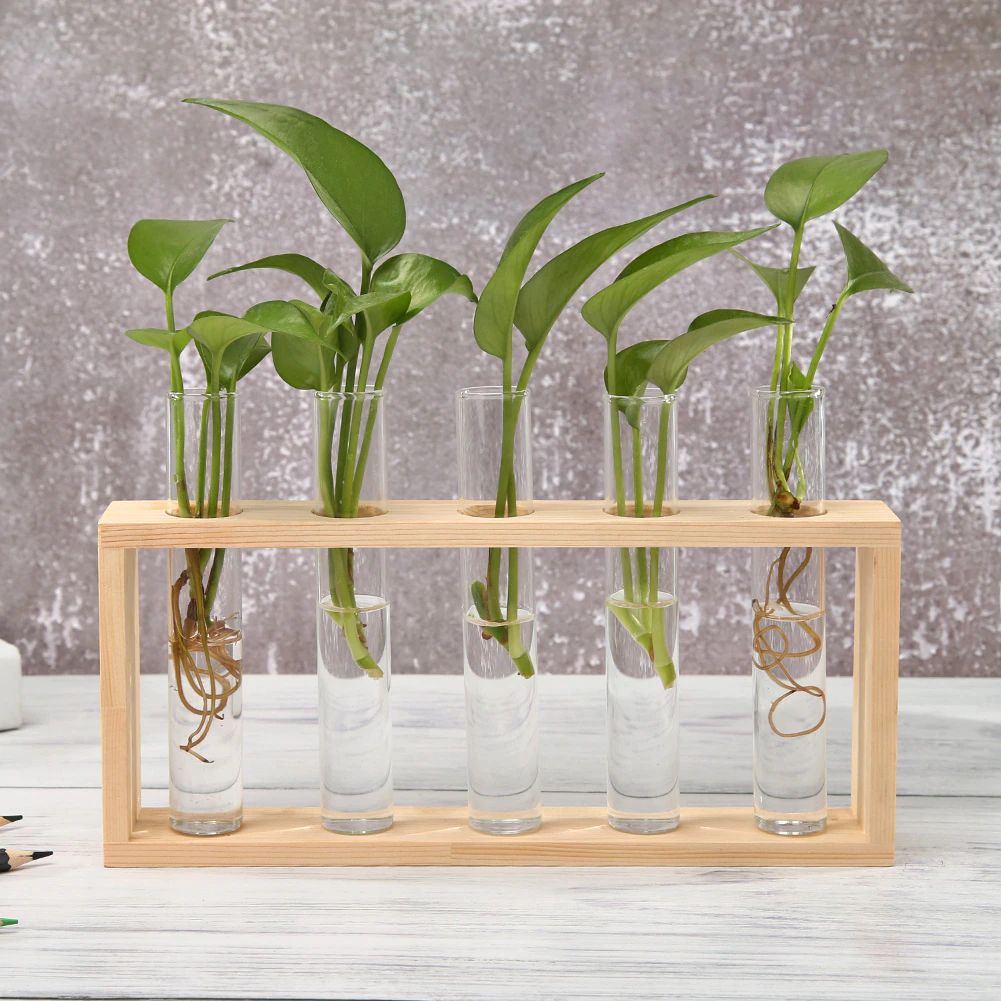 Junips | Test Tube Vase