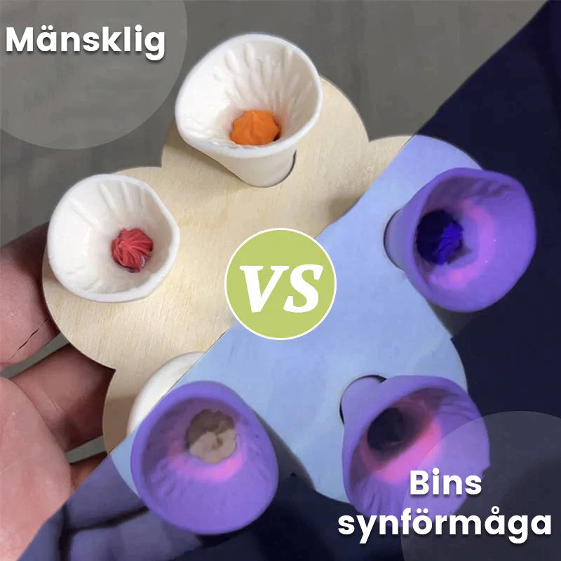 Junips | Drinking cup for bees and insects
