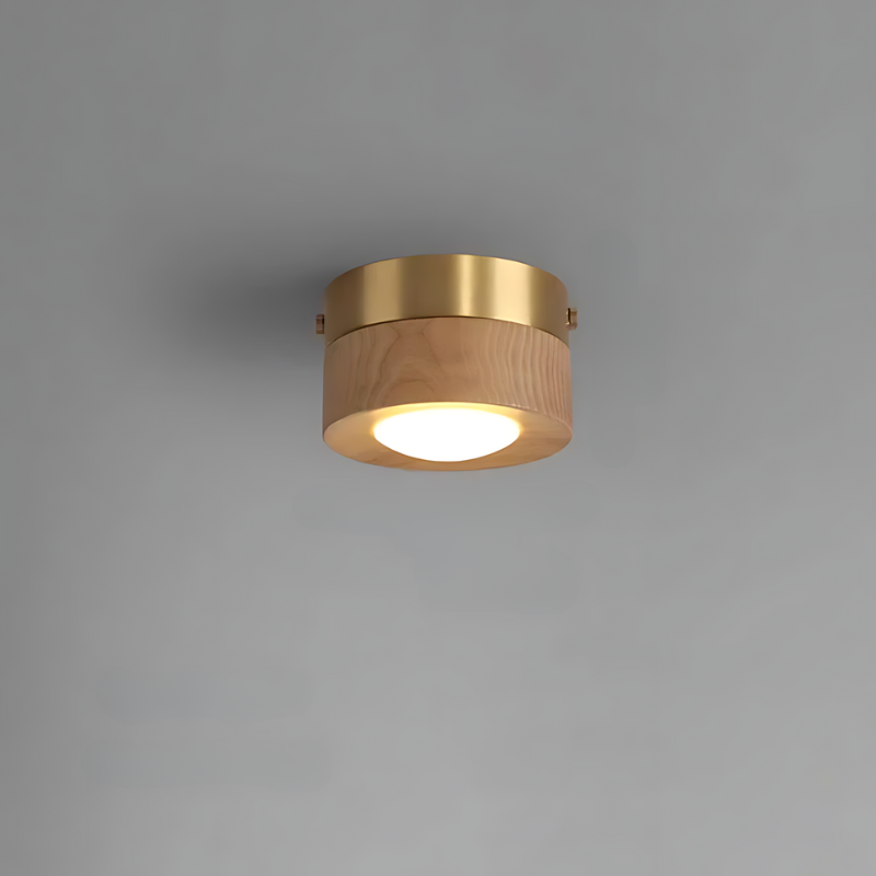 Junips | | Walnut ceiling lamp with LED spotlight