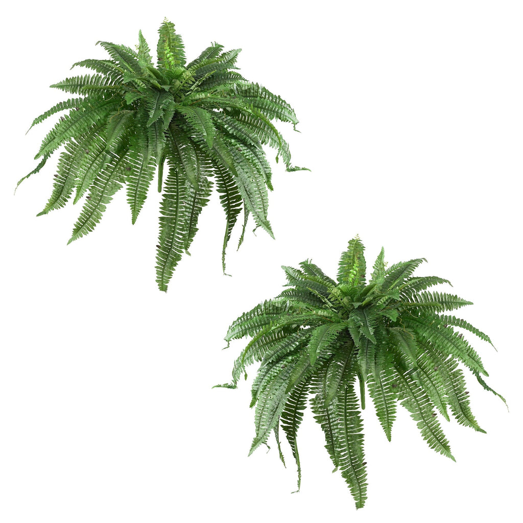 Junips | 48” Boston Farn (Set of 2)