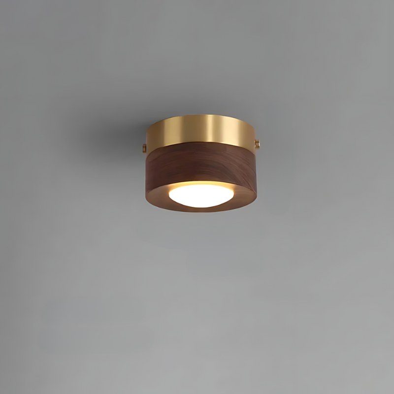 Junips | | Walnut ceiling lamp with LED spotlight
