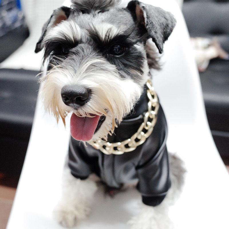 Junips | Thick golden chain pet safety collar