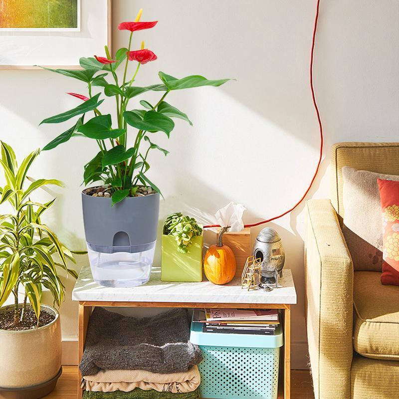 Junips | Self-watering Hydro-Flower Pot