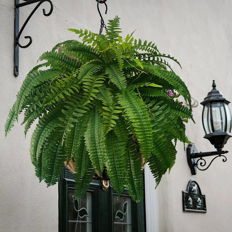 Junips | UV-resistant, lifelike artificial Boston fern