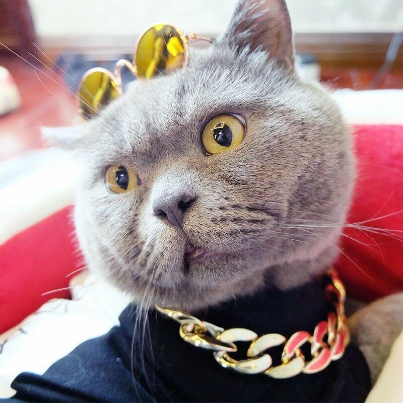 Junips | Thick golden chain pet safety collar