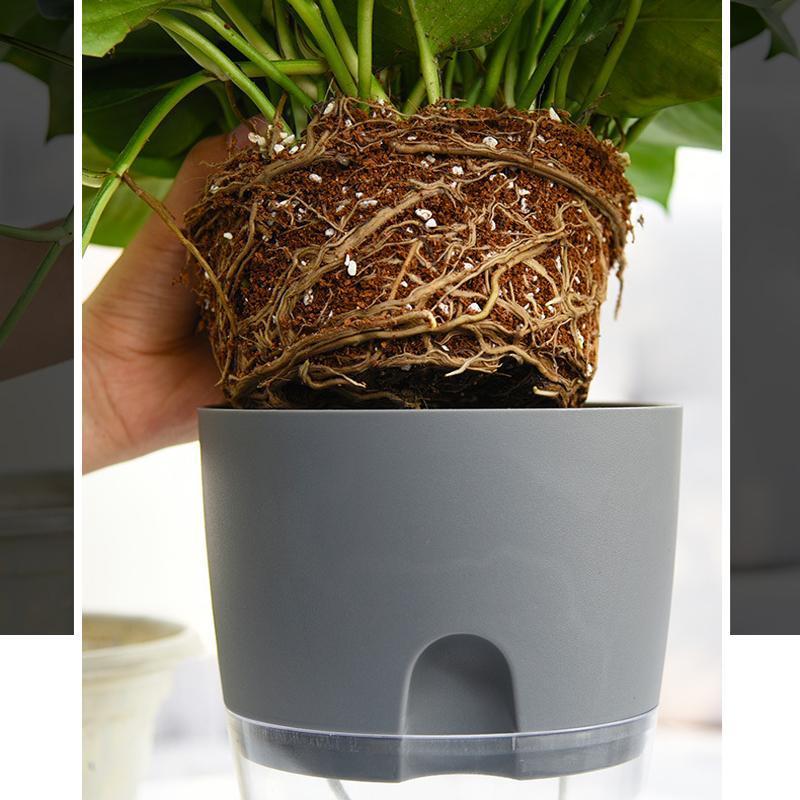 Junips | Self-watering Hydro-Flower Pot
