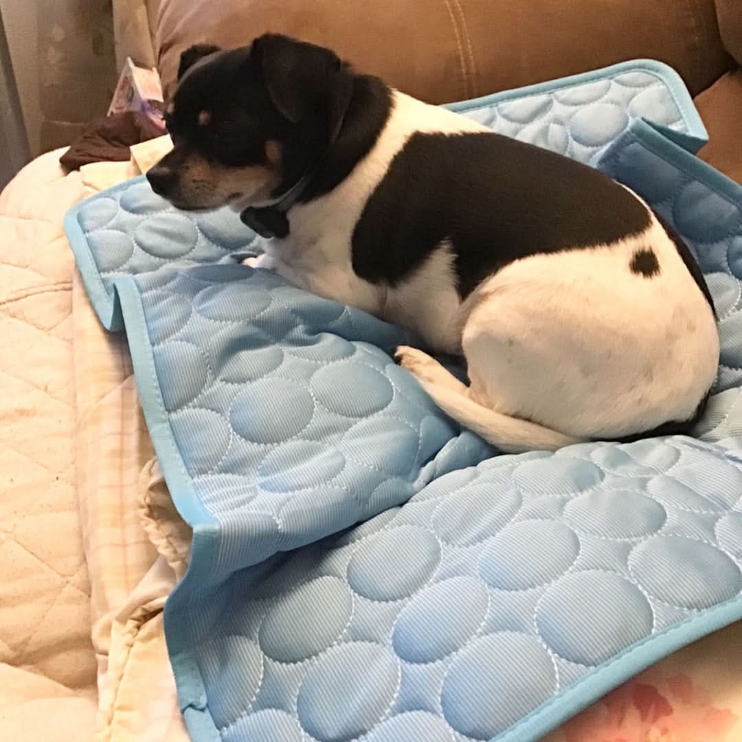 Junips | COOLTAILS - Premium Cooling Mat