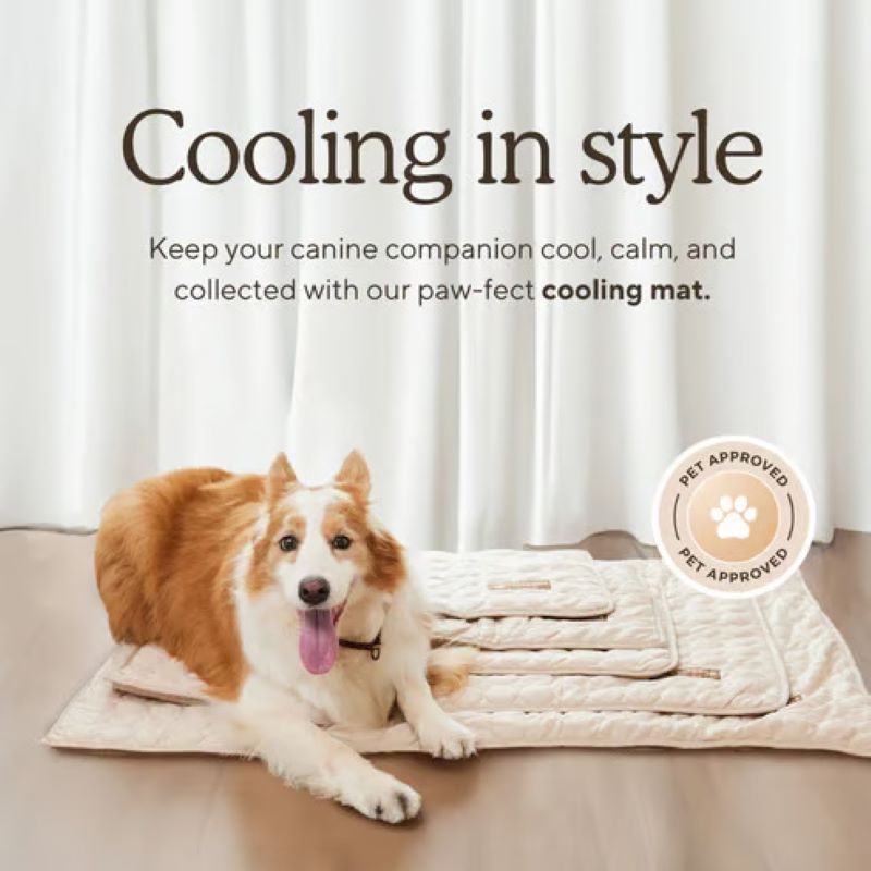 Junips | Cooling Mat for Dogs (4x More Effective)