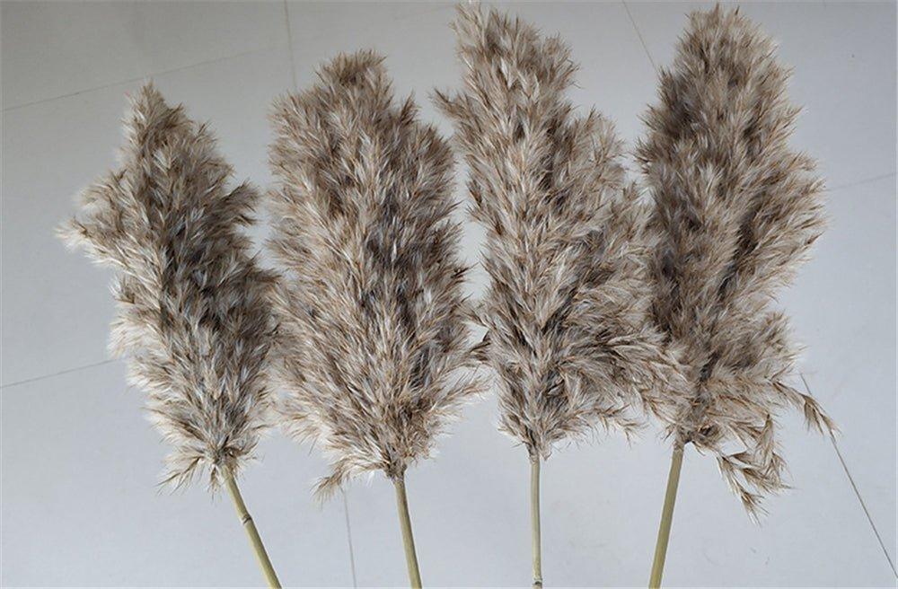 Junips | 60 cm natural, real, brown-beige dried pampas grass bouquet │ fluffy feather for modern boho home decoration