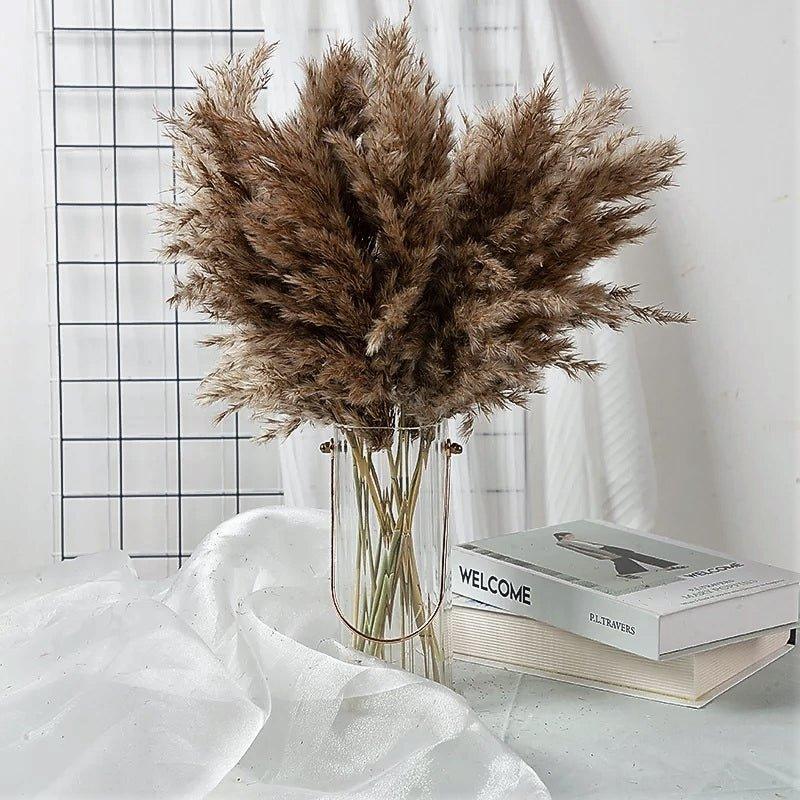 Junips | 60 cm natural, real, brown-beige dried pampas grass bouquet │ fluffy feather for modern boho home decoration