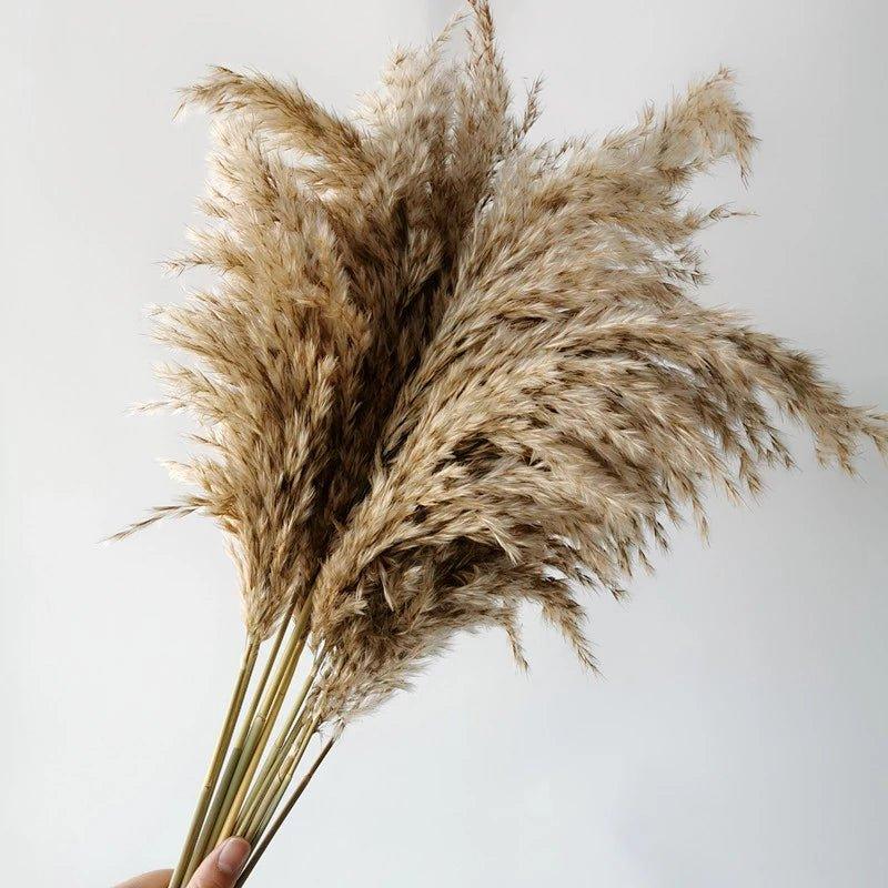 Junips | 60 cm natural, real, brown-beige dried pampas grass bouquet │ fluffy feather for modern boho home decoration