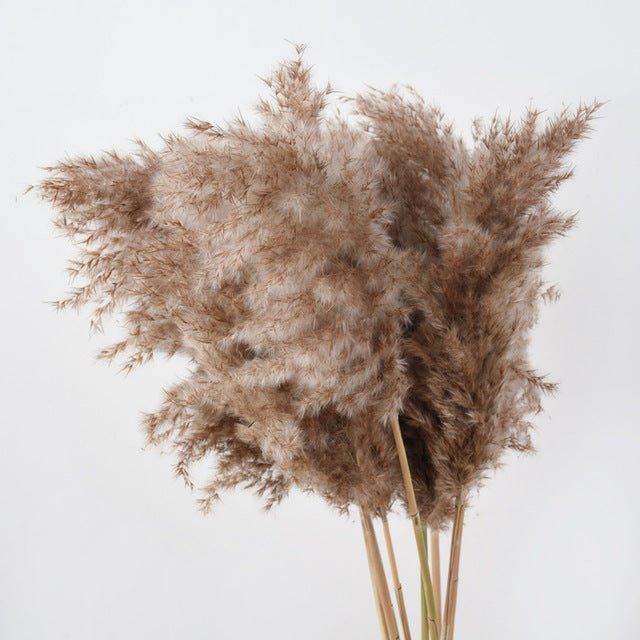 Junips | 60 cm natural, real, brown-beige dried pampas grass bouquet │ fluffy feather for modern boho home decoration