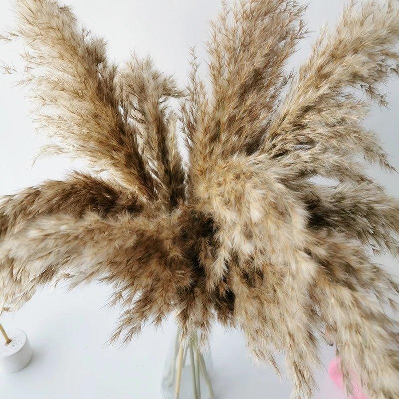 Junips | 60 cm natural, real, brown-beige dried pampas grass bouquet │ fluffy feather for modern boho home decoration