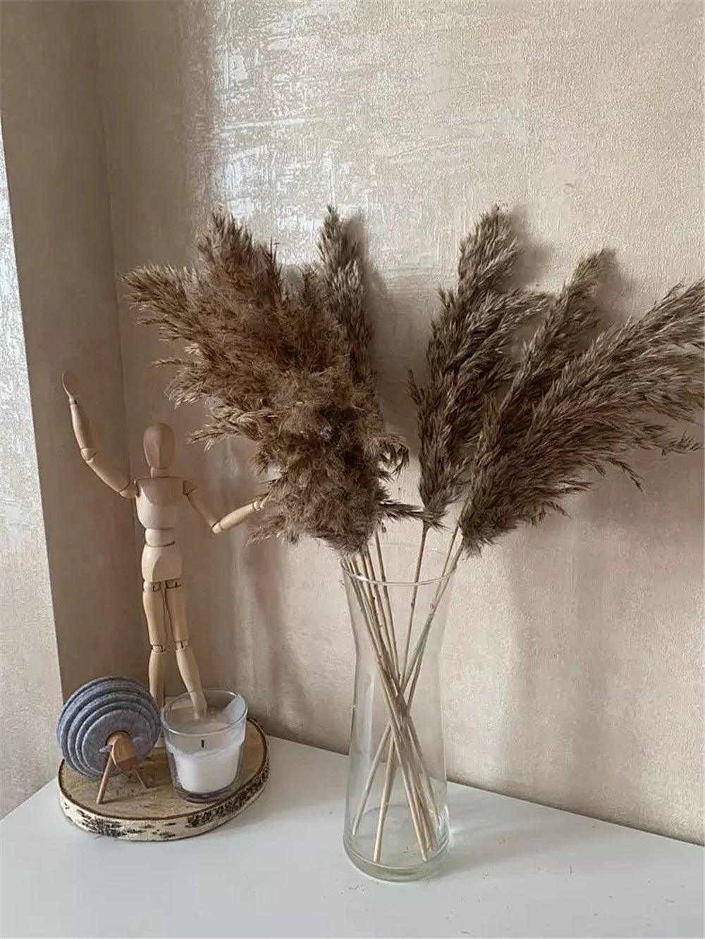 Junips | 60 cm natural, real, brown-beige dried pampas grass bouquet │ fluffy feather for modern boho home decoration