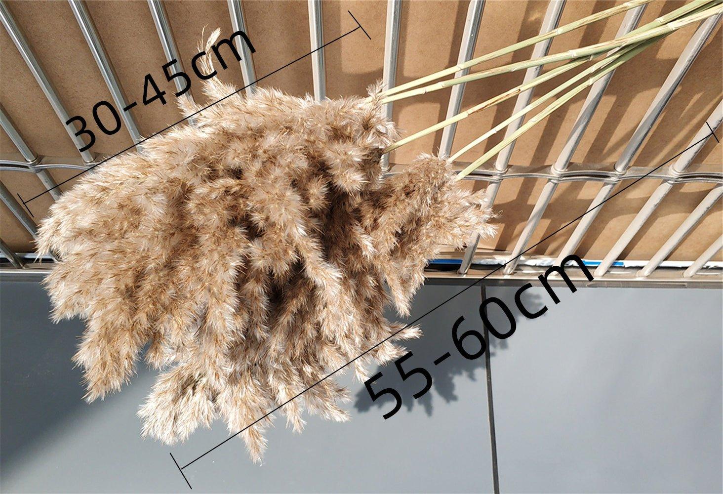Junips | 60 cm natural, real, brown-beige dried pampas grass bouquet │ fluffy feather for modern boho home decoration