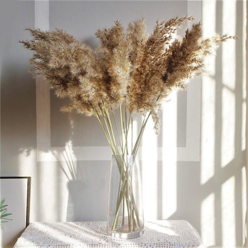 Junips | 60 cm natural, real, brown-beige dried pampas grass bouquet │ fluffy feather for modern boho home decoration