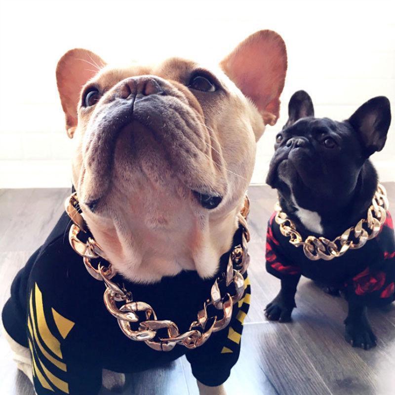 Junips | Thick golden chain pet safety collar