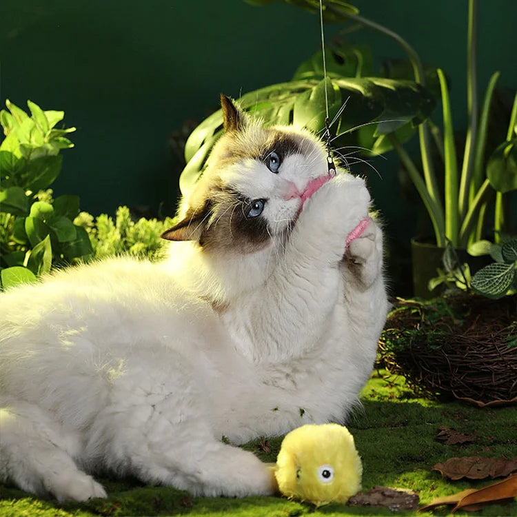 Junips | – smarter interactive plush ball for cats | buy 1, get 1 free 🎁