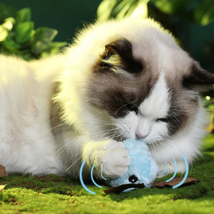 Junips | – smarter interactive plush ball for cats | buy 1, get 1 free 🎁