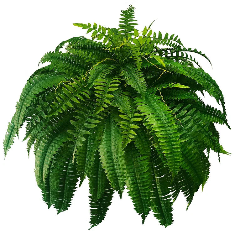 Junips | UV-resistant, lifelike artificial Boston fern