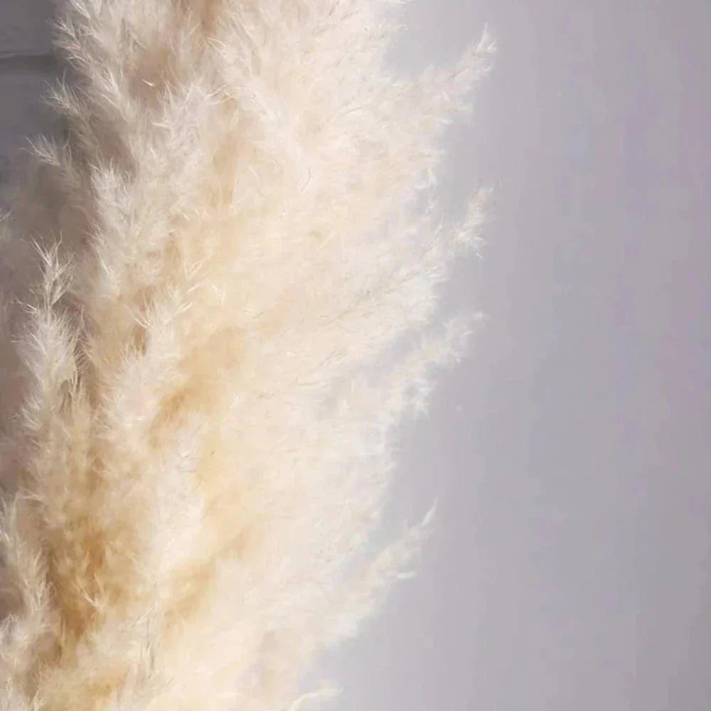 Junips | 80 cm natural, real dried pampas grass bouquet (white / beige / gray) │ fluffy feather for modern boho home decor