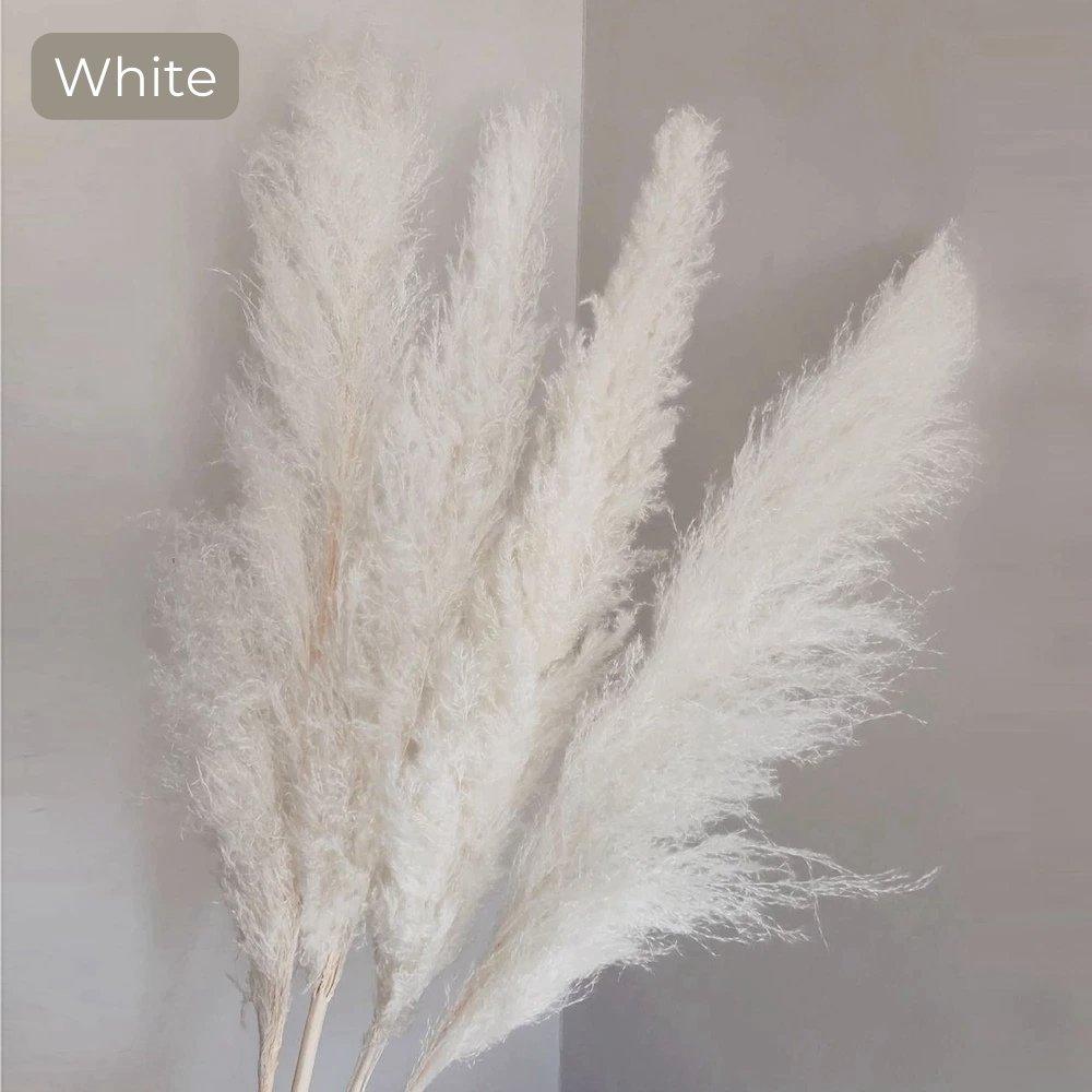 Junips | 80 cm natural, real dried pampas grass bouquet (white / beige / gray) │ fluffy feather for modern boho home decor