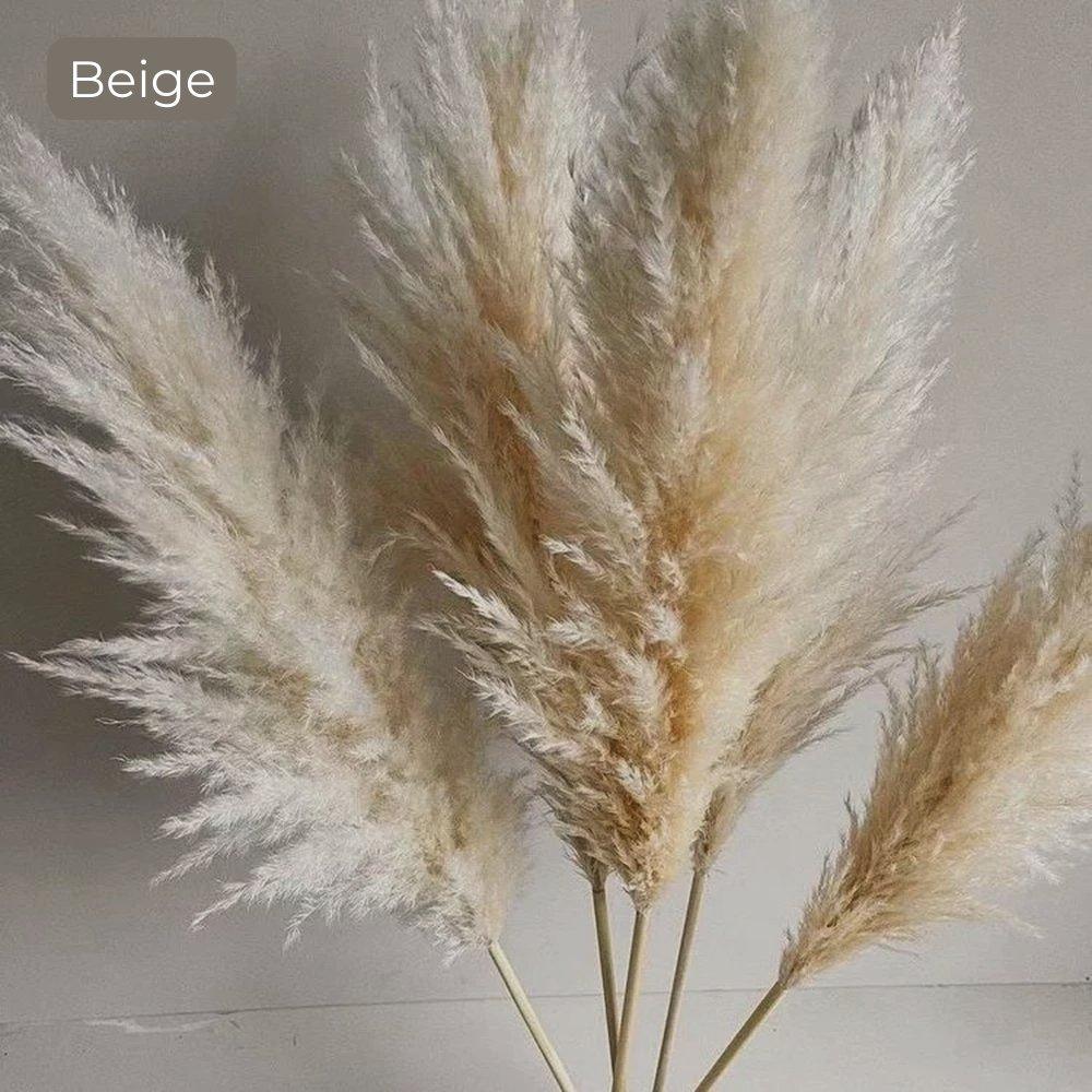 Junips | 80 cm natural, real dried pampas grass bouquet (white / beige / gray) │ fluffy feather for modern boho home decor