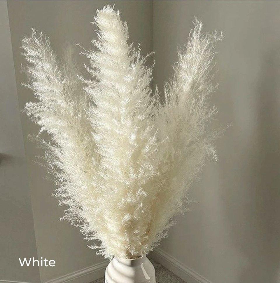 Junips | 80 cm natural, real dried pampas grass bouquet (white / beige / gray) │ fluffy feather for modern boho home decor