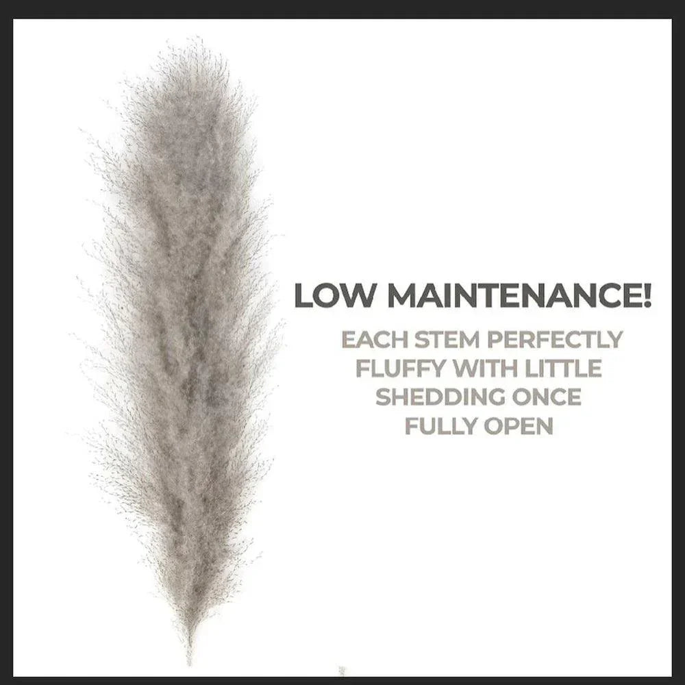 Junips | 80 cm natural, real dried pampas grass bouquet (white / beige / gray) │ fluffy feather for modern boho home decor