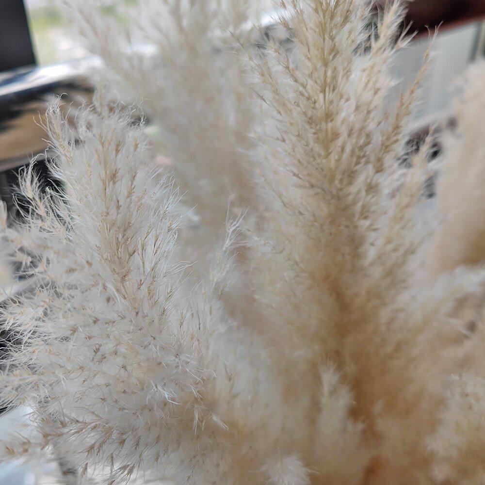 Junips | 80 cm natural, real dried pampas grass bouquet (white / beige / gray) │ fluffy feather for modern boho home decor