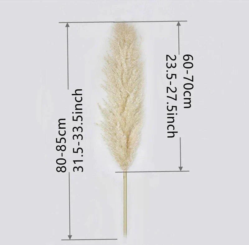 Junips | 80 cm natural, real dried pampas grass bouquet (white / beige / gray) │ fluffy feather for modern boho home decor