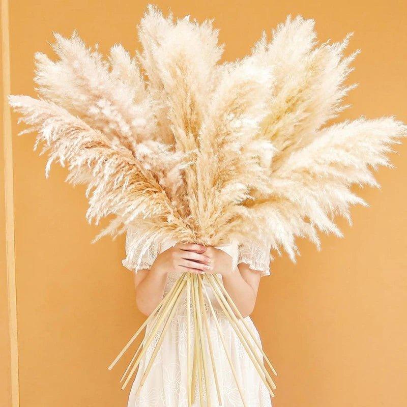 Junips | 80 cm natural, real dried pampas grass bouquet (white / beige / gray) │ fluffy feather for modern boho home decor