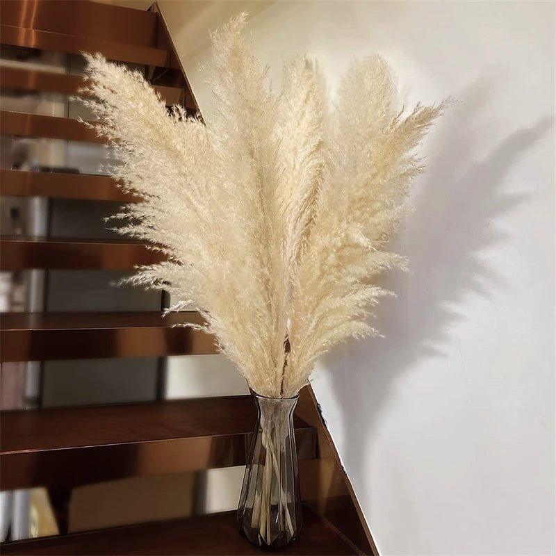 Junips | 80 cm natural, real dried pampas grass bouquet (white / beige / gray) │ fluffy feather for modern boho home decor